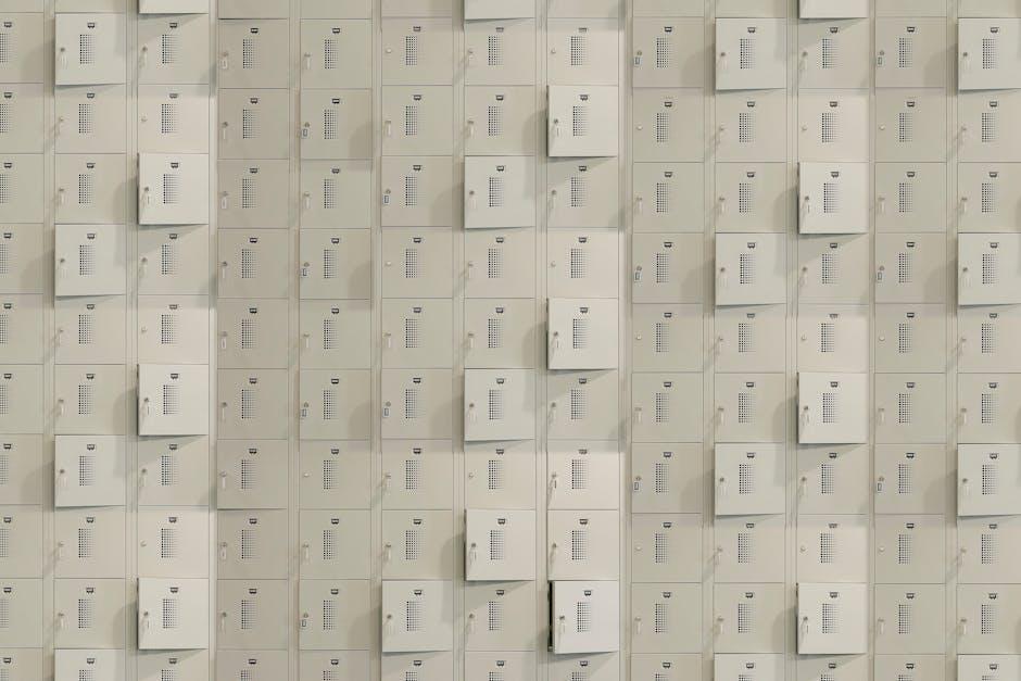 Choosing the Right Lock Systems for Different Commercial Needs