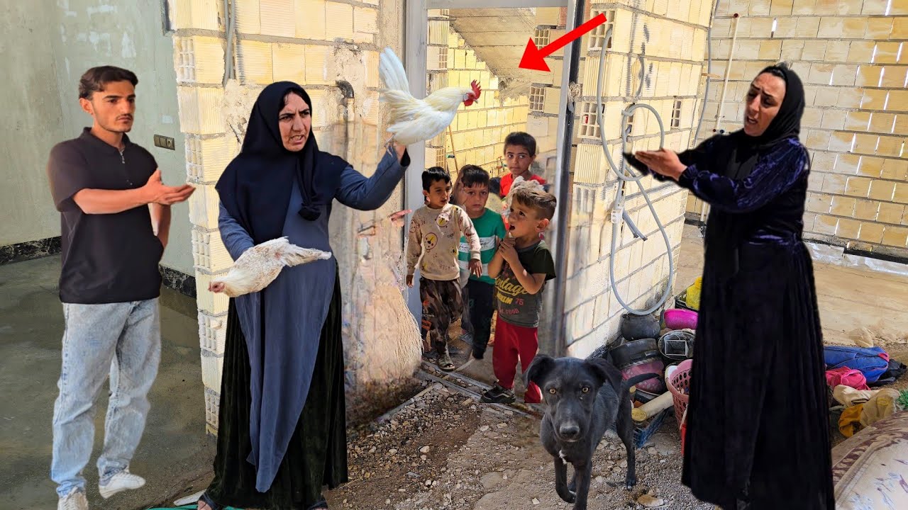 Read more about the article First day in the new houseSuddenly the neighbor came with an injured chickenWas Elham’s dog to blame