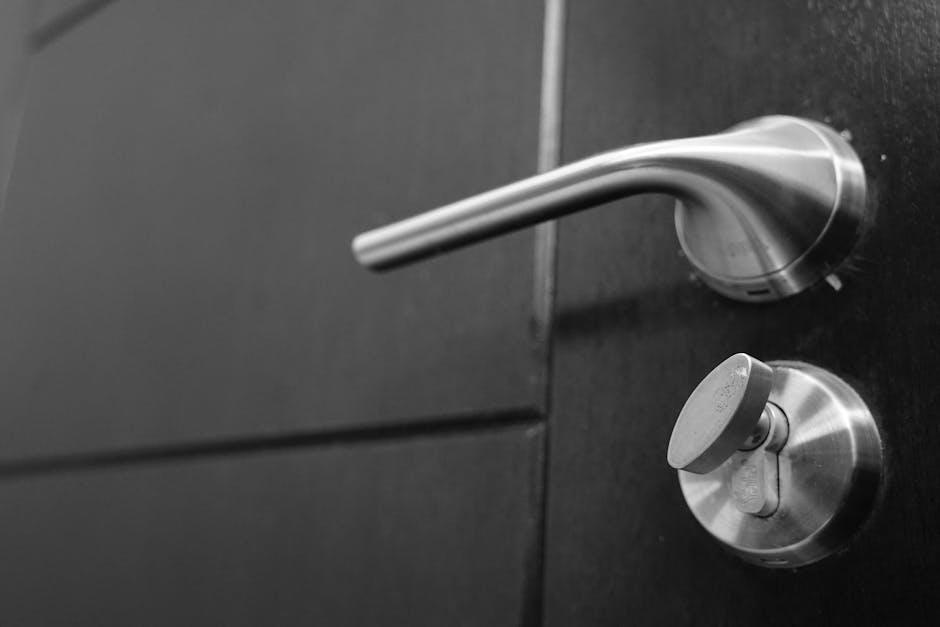 Maximizing Safety with Professional Lock Installations and Repairs