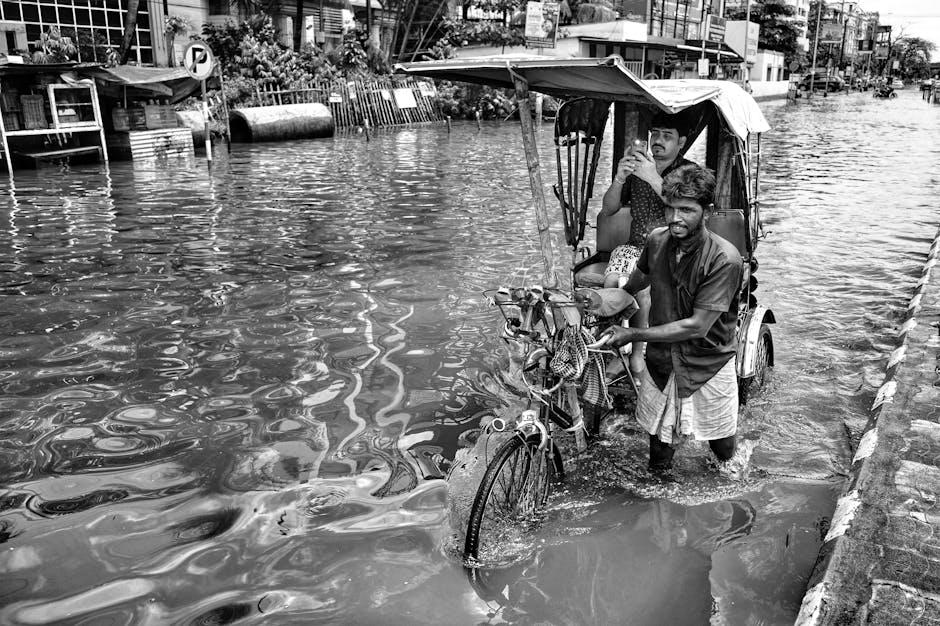 Navigating Transportation and Accessibility Challenges