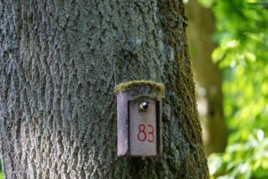 Read more about the article Smart Lock Installation Services for Maple Grove Homes