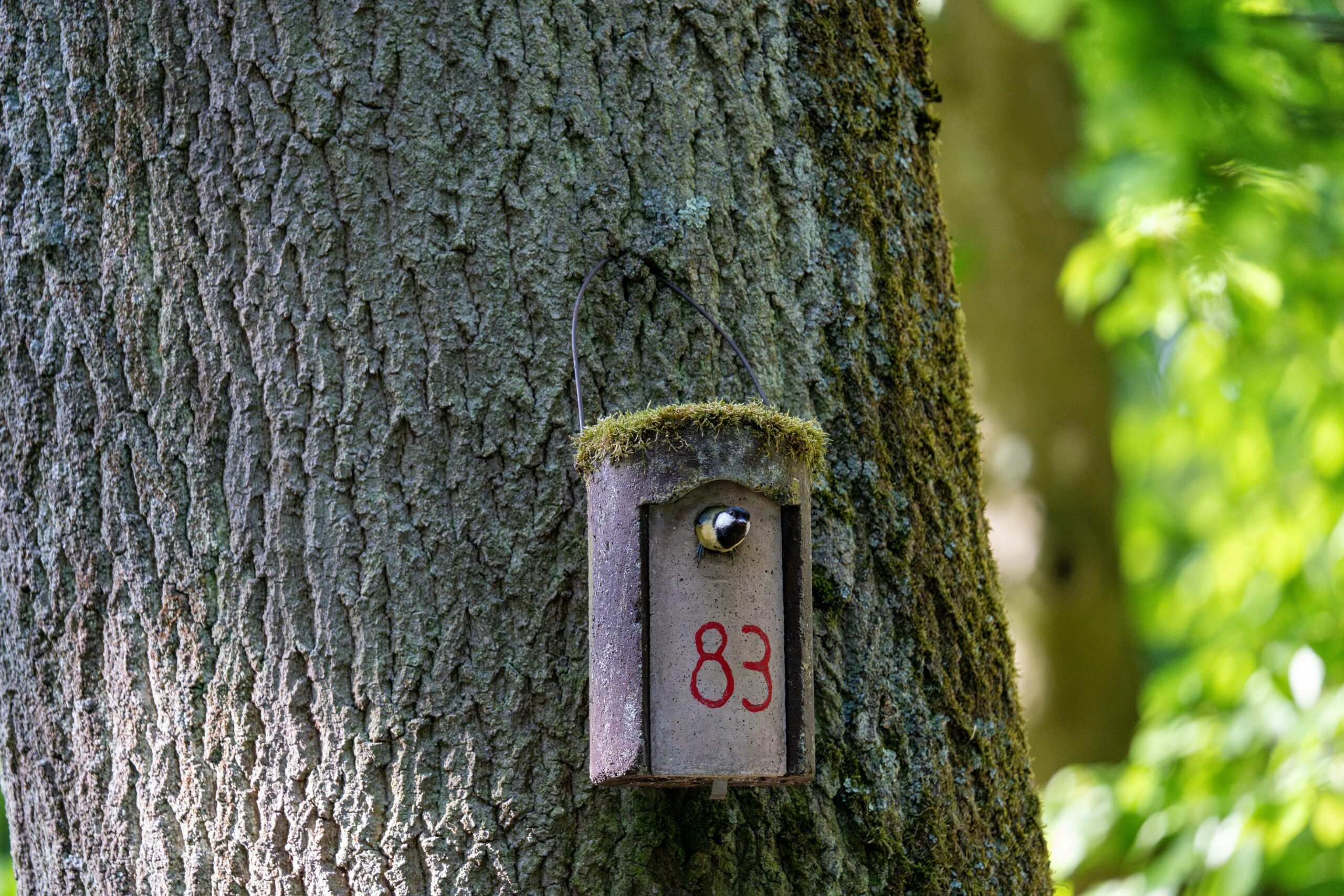 Read more about the article Smart Lock Installation Services for Maple Grove Homes
