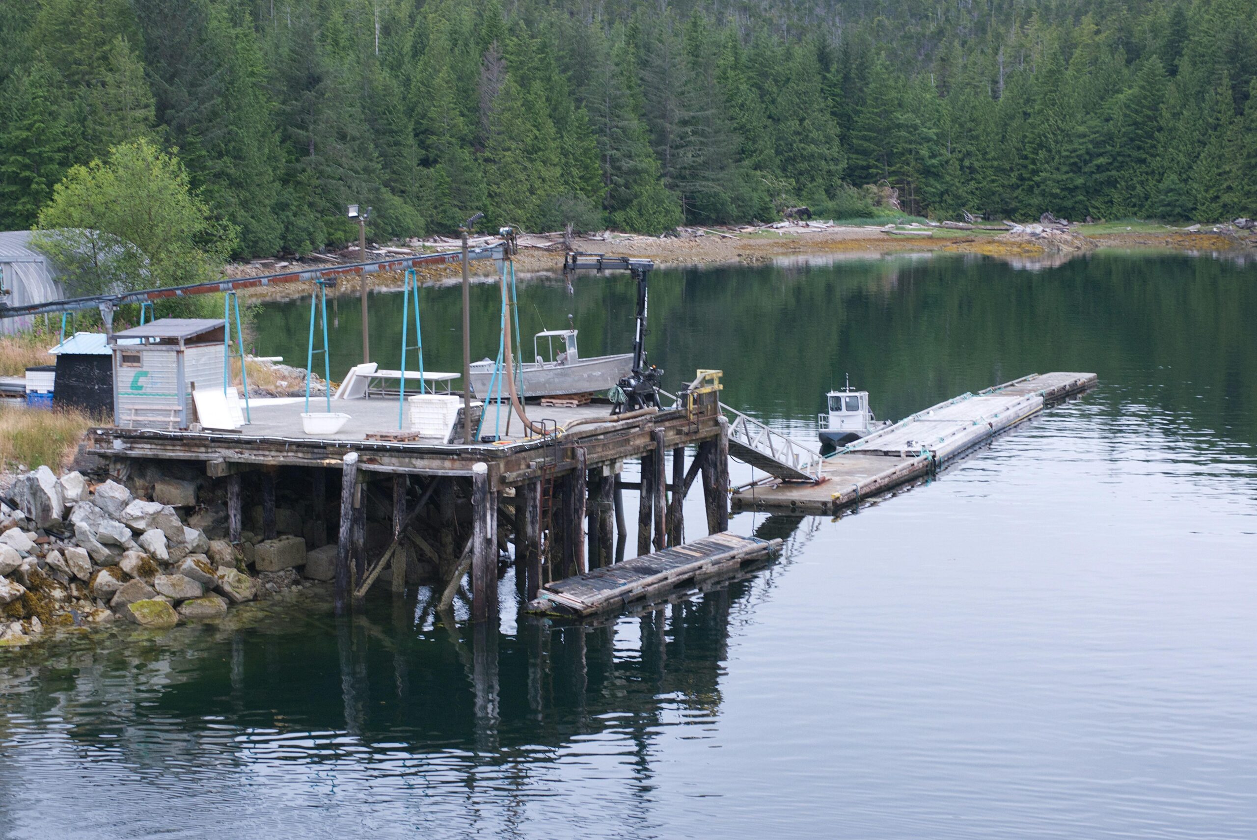 Read more about the article Lock Replacements for White Bear Lake Restaurants and Shops