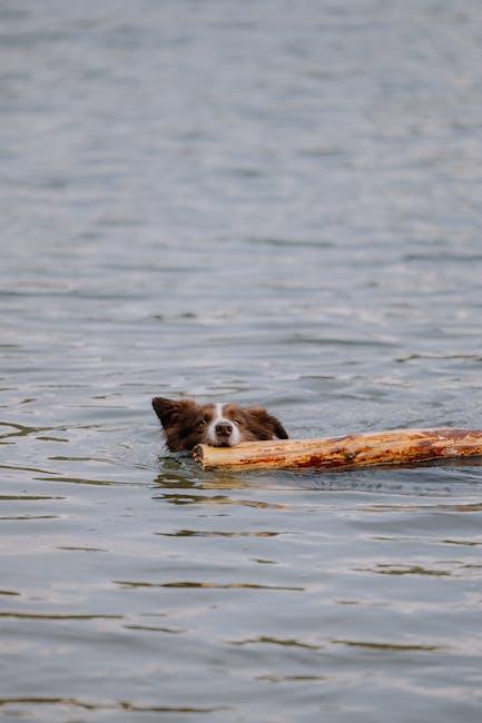 Finding the Signs of Distress in a Locked-In Pet