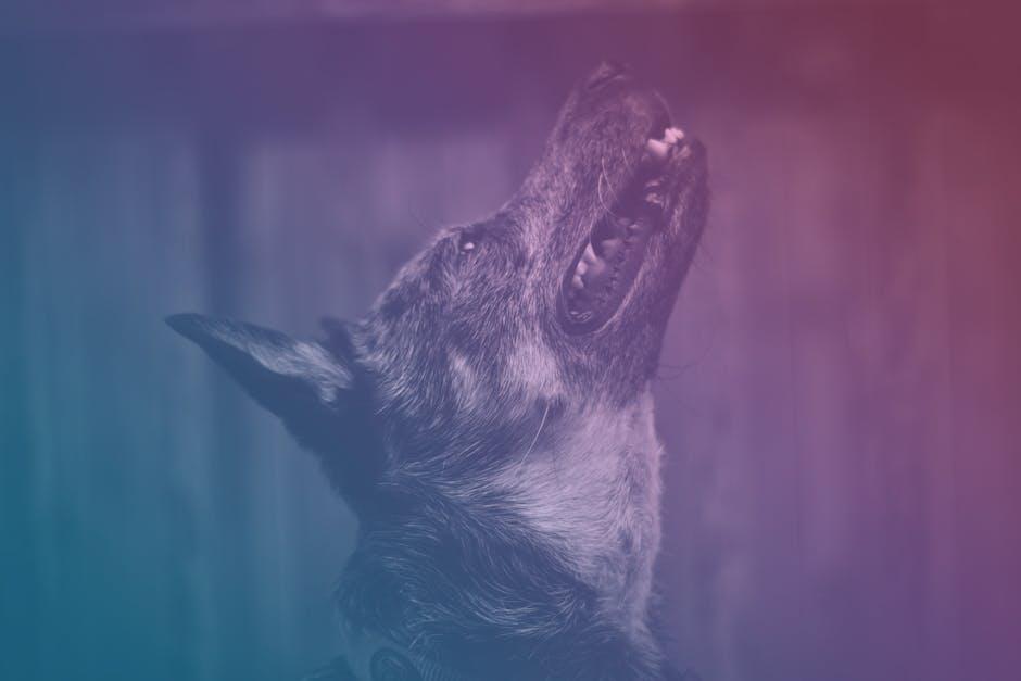 Step-by-Step Rescue Techniques That Made a Difference