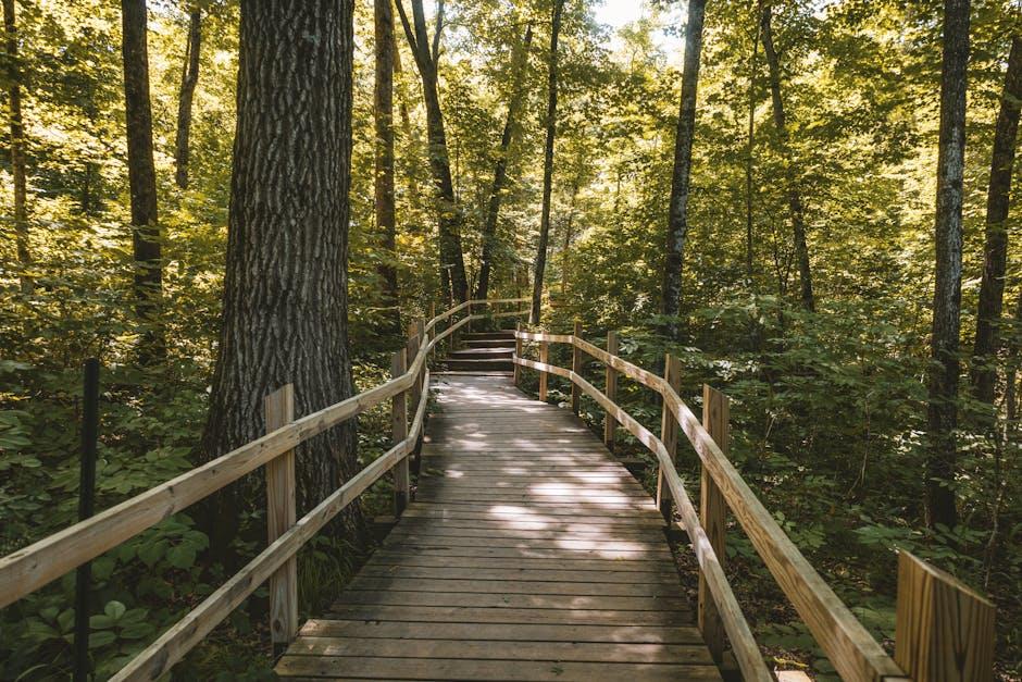 Choosing Emeralds Locksmith for Reliable and Affordable Services