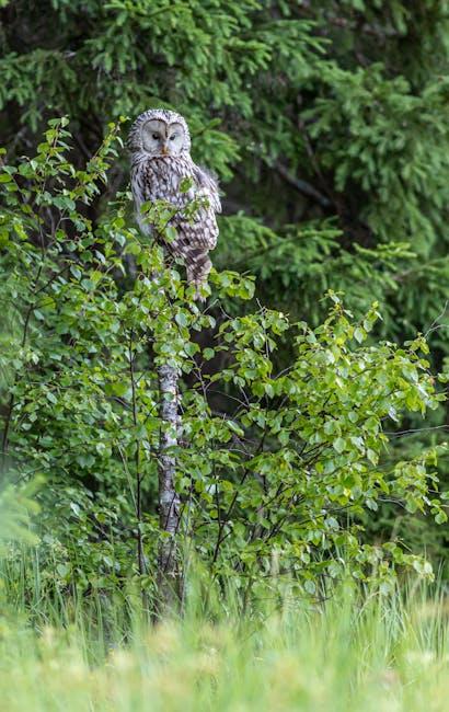 Cost Transparency and Value in Emergency Locksmith Calls