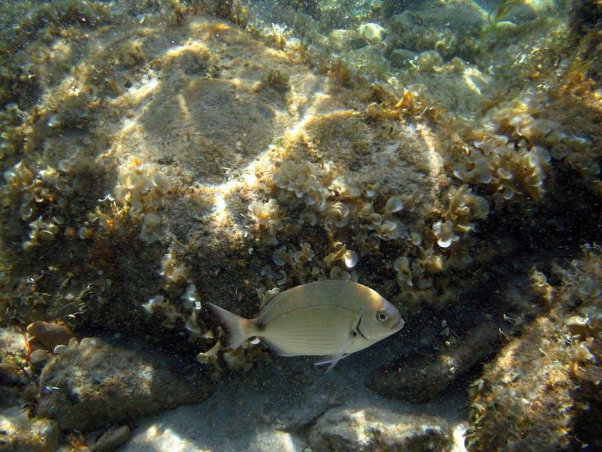 Finding Reliable Locksmith Near Me for Emergency Services