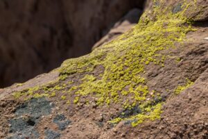 Read more about the article Door Locksmith Near Me – Emeralds Locksmith Repairs and Replaces