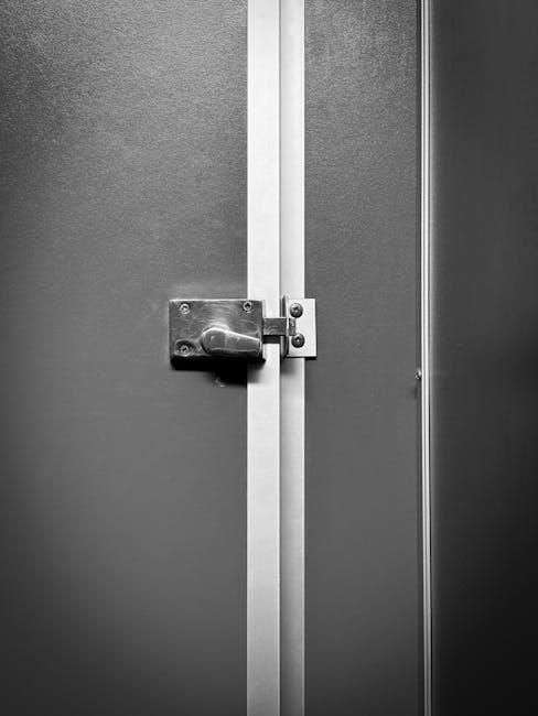 Choosing the Right Door Locks for Enhanced Safety and Longevity